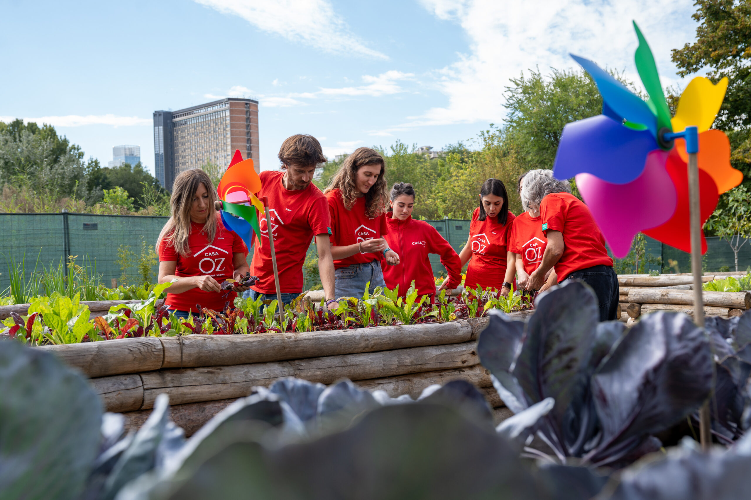 Tutto parte da un seme
