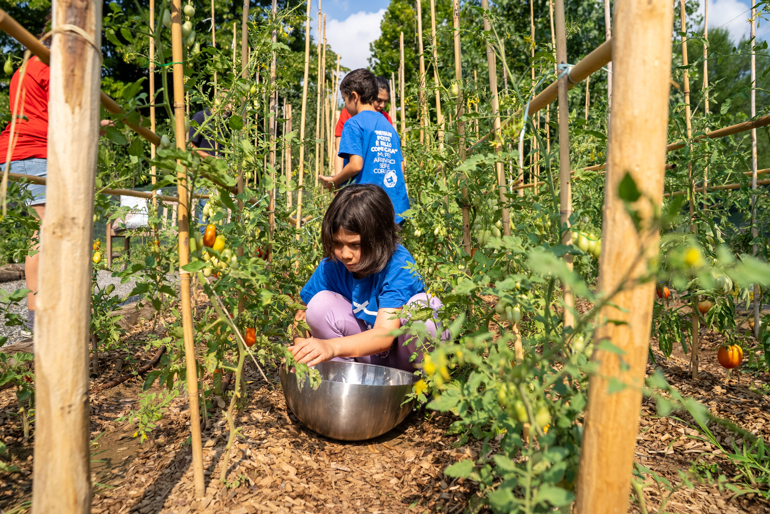 800 mq di verde che cura: il nuovo orto di CasaOz