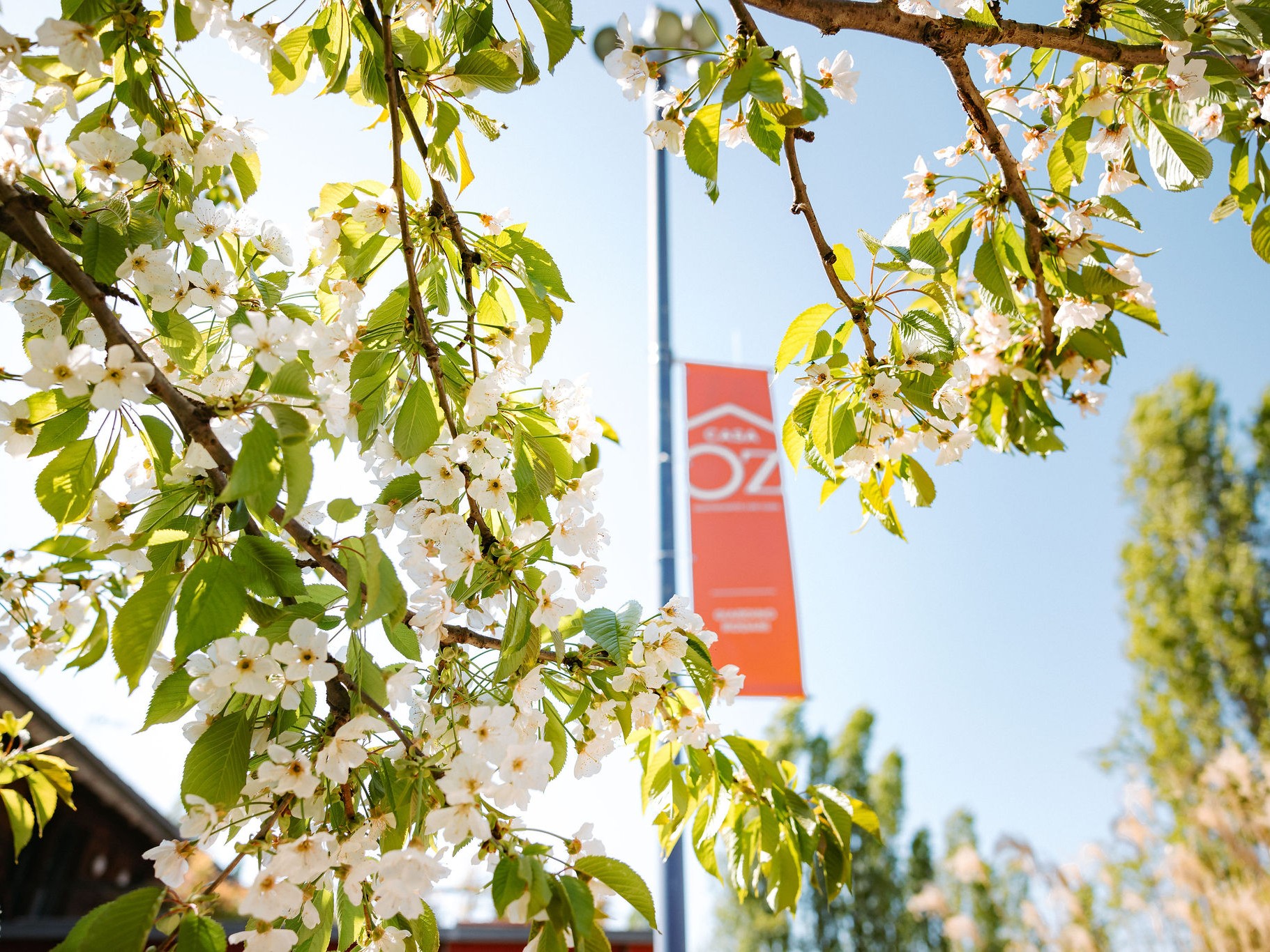 Molino di Cavoretto: Un progetto che unisce istituzioni, aziende e realtà del Terzo Settore