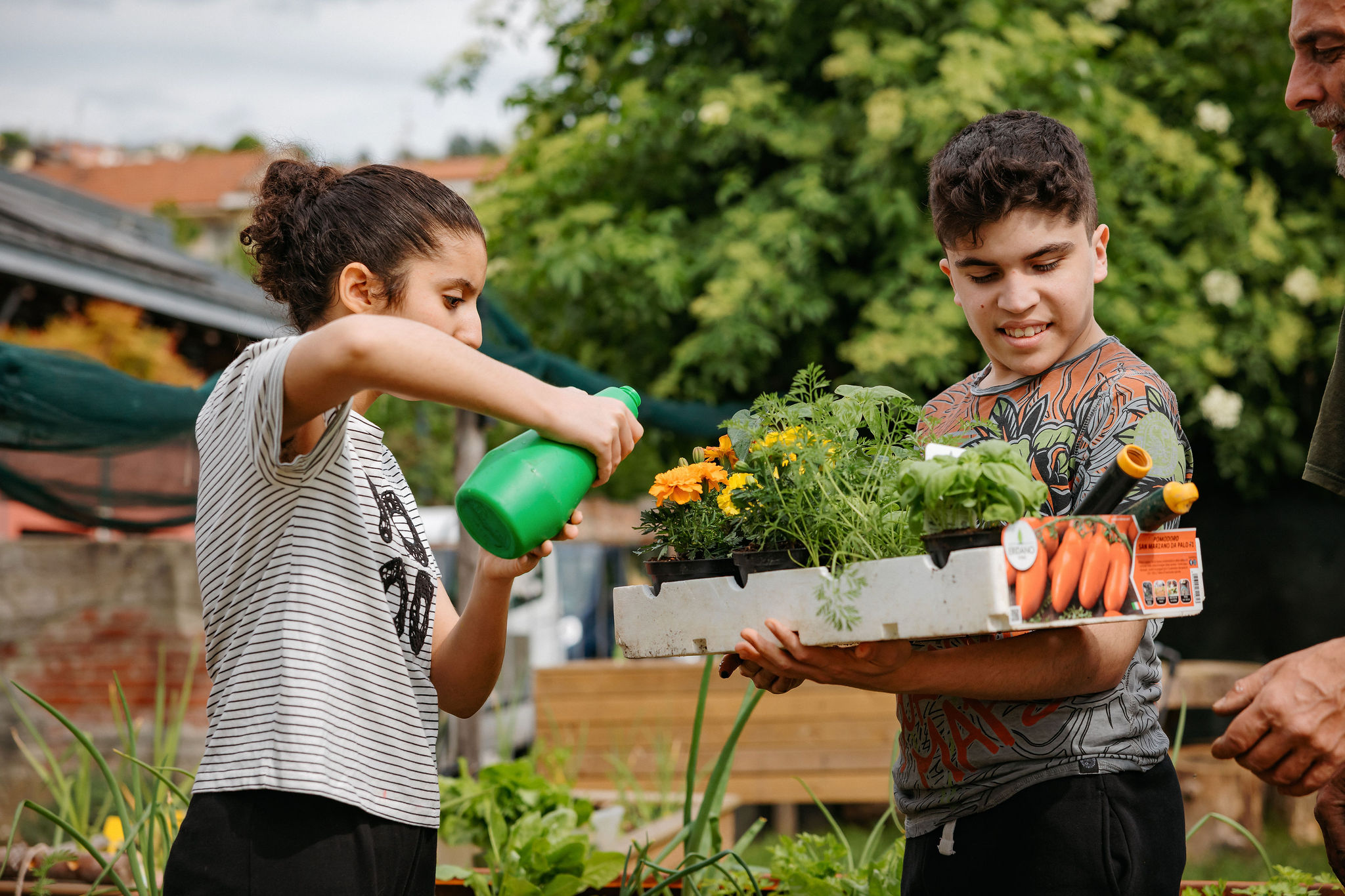 L’arte del prendersi cura