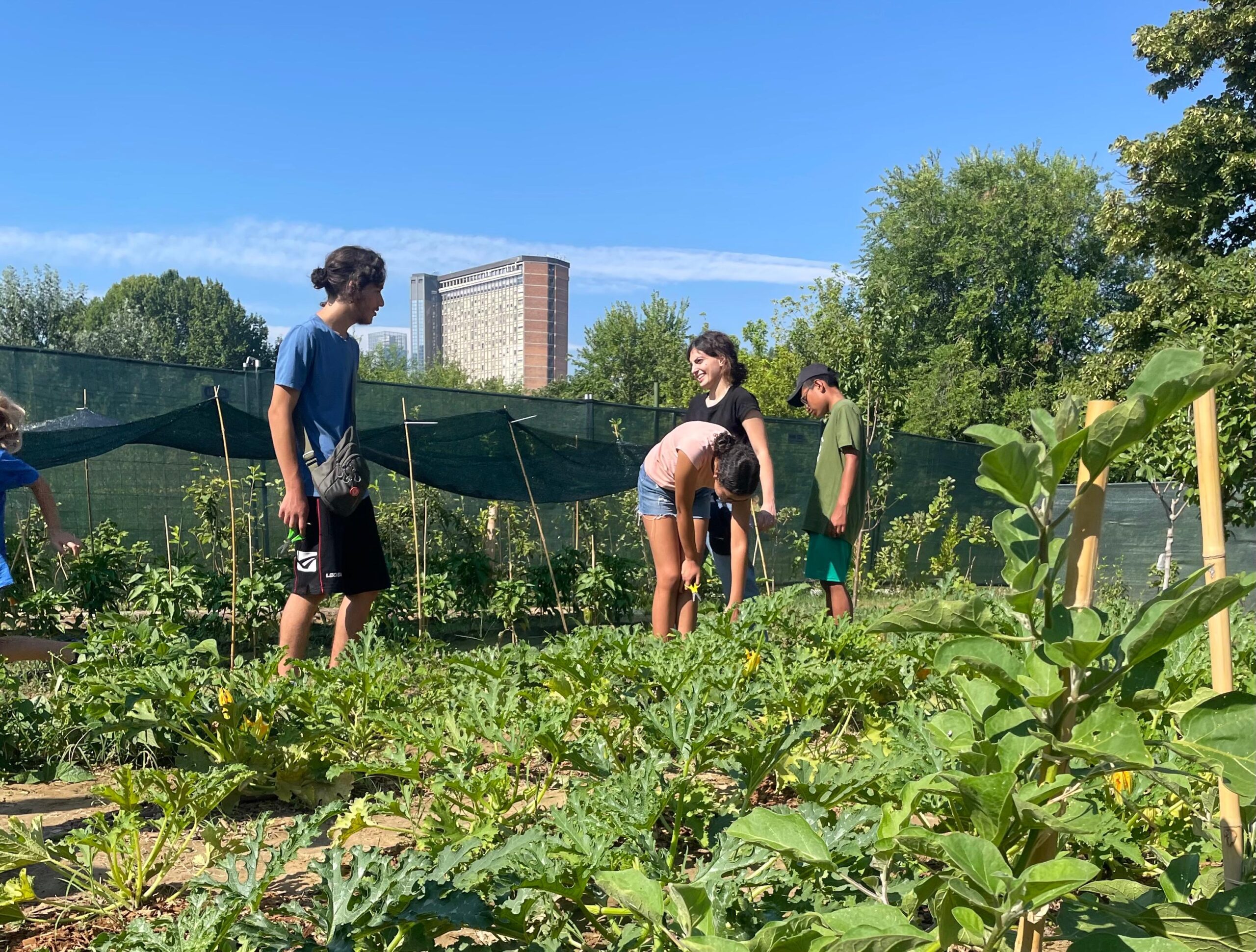 120 Volontari Aziendali a CasaOz